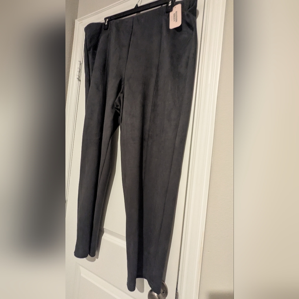 Gray Suede Feel Pants
